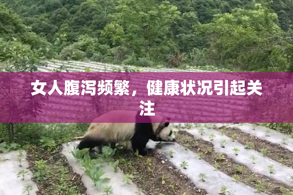 女人腹泻频繁，健康状况引起关注