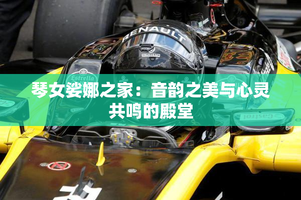 琴女娑娜之家：音韵之美与心灵共鸣的殿堂