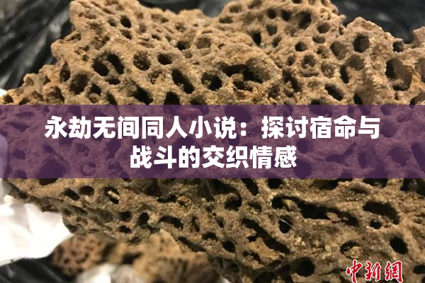 永劫无间同人小说：探讨宿命与战斗的交织情感