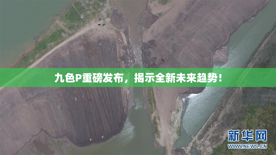 九色P重磅发布，揭示全新未来趋势！