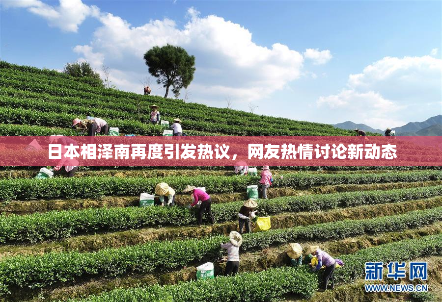 日本相泽南再度引发热议，网友热情讨论新动态