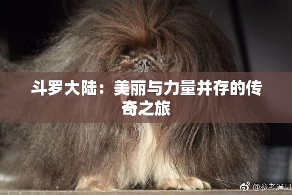 斗罗大陆：美丽与力量并存的传奇之旅