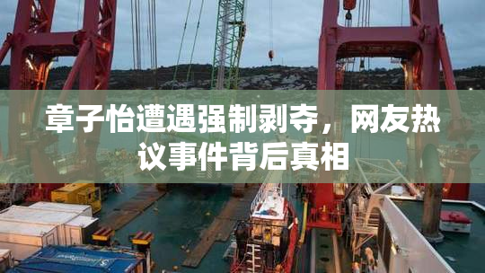 章子怡遭遇强制剥夺，网友热议事件背后真相