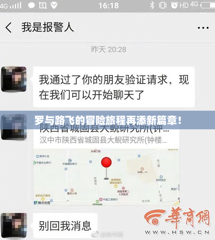 罗与路飞的冒险旅程再添新篇章！