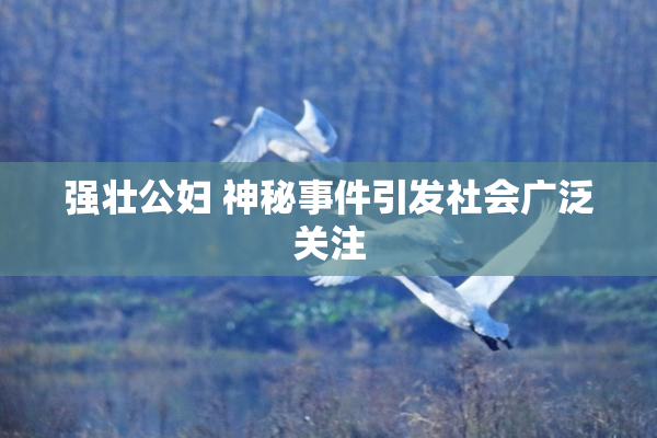 强壮公妇 神秘事件引发社会广泛关注
