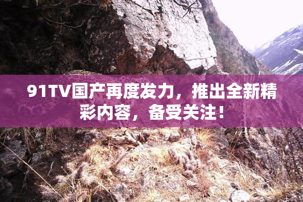 91TV国产再度发力，推出全新精彩内容，备受关注！