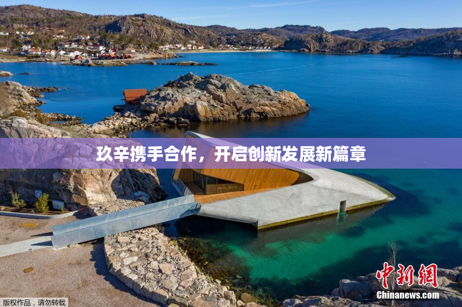 玖辛携手合作，开启创新发展新篇章