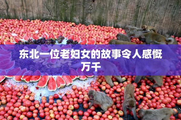 东北一位老妇女的故事令人感慨万千
