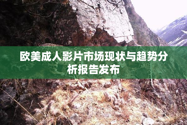 欧美成人影片市场现状与趋势分析报告发布