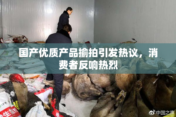 国产优质产品揄拍引发热议，消费者反响热烈