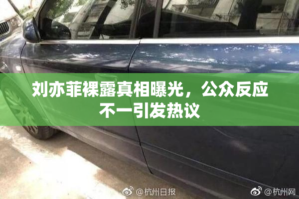 刘亦菲裸露真相曝光，公众反应不一引发热议