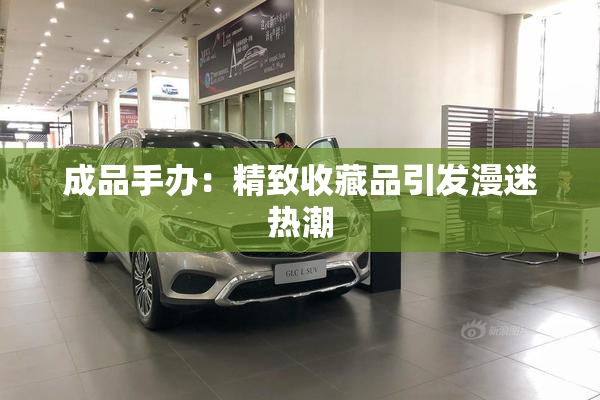 成品手办：精致收藏品引发漫迷热潮