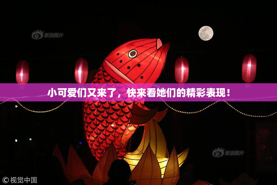 小可爱们又来了，快来看她们的精彩表现！