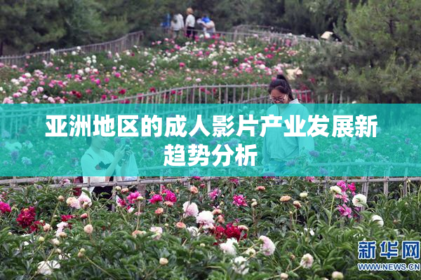 亚洲地区的成人影片产业发展新趋势分析