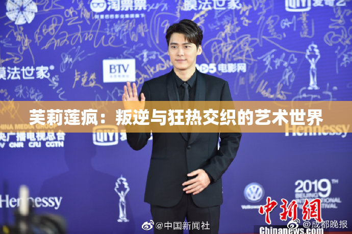 芙莉莲疯：叛逆与狂热交织的艺术世界