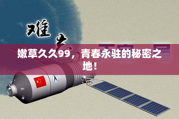 嫩草久久99，青春永驻的秘密之地！