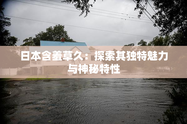 日本含羞草久：探索其独特魅力与神秘特性