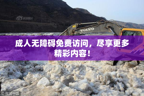 成人无障碍免费访问，尽享更多精彩内容！