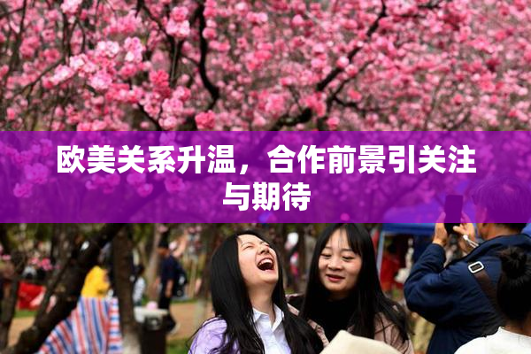 欧美关系升温，合作前景引关注与期待