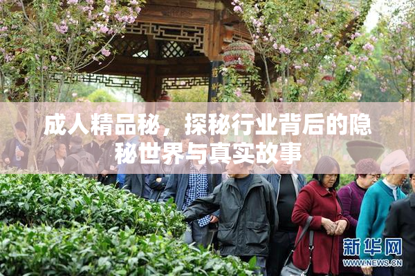 成人精品秘，探秘行业背后的隐秘世界与真实故事