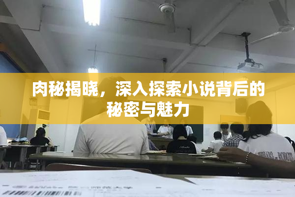 肉秘揭晓，深入探索小说背后的秘密与魅力