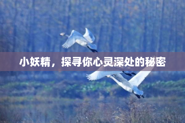 小妖精，探寻你心灵深处的秘密
