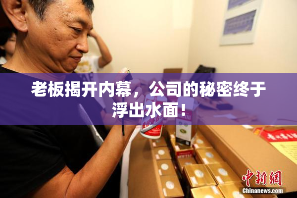 老板揭开内幕，公司的秘密终于浮出水面！