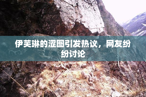 伊芙琳的涩图引发热议，网友纷纷讨论