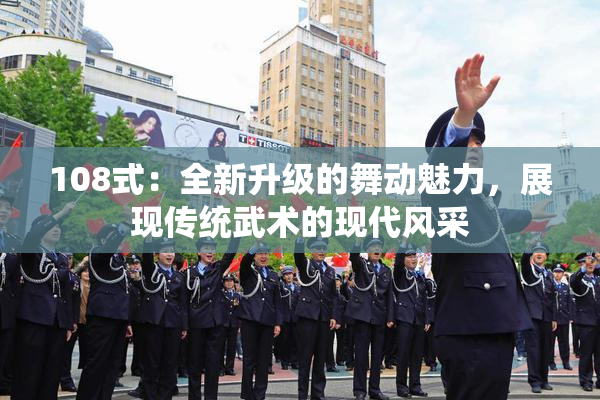 108式：全新升级的舞动魅力，展现传统武术的现代风采