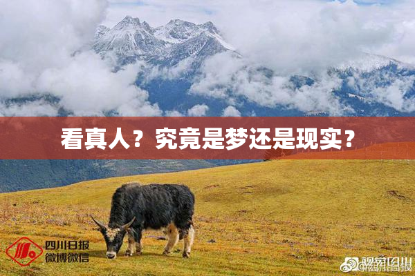 看真人？究竟是梦还是现实？