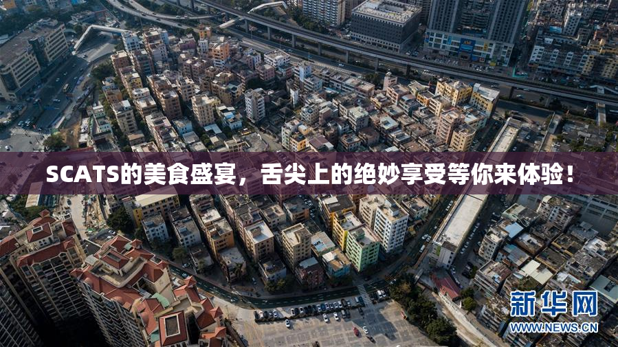 SCATS的美食盛宴，舌尖上的绝妙享受等你来体验！