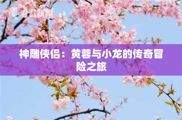 神雕侠侣：黄蓉与小龙的传奇冒险之旅