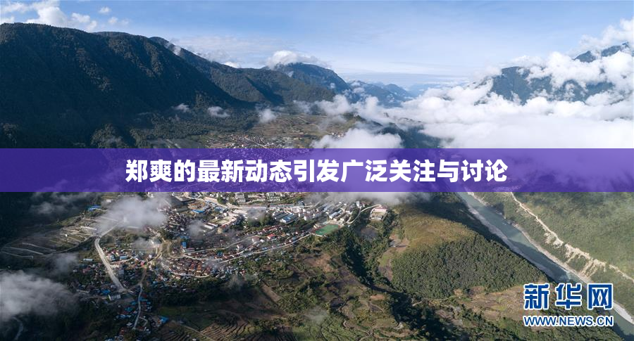 郑爽的最新动态引发广泛关注与讨论