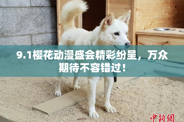 9.1樱花动漫盛会精彩纷呈，万众期待不容错过！