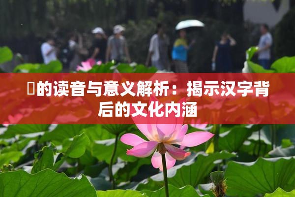 屍的读音与意义解析：揭示汉字背后的文化内涵