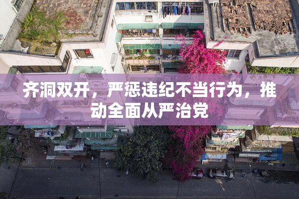 齐洞双开，严惩违纪不当行为，推动全面从严治党