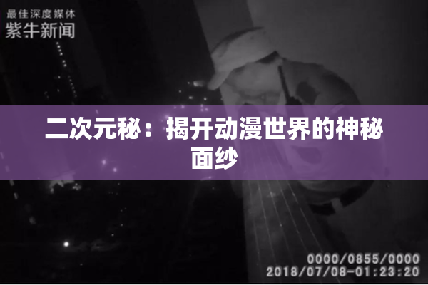二次元秘：揭开动漫世界的神秘面纱