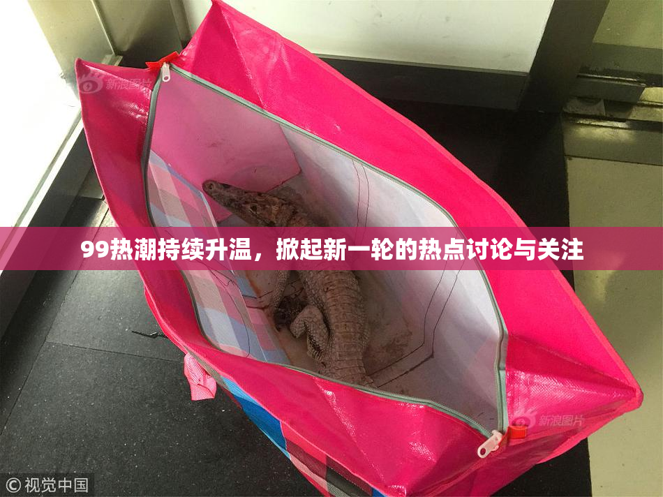 99热潮持续升温，掀起新一轮的热点讨论与关注