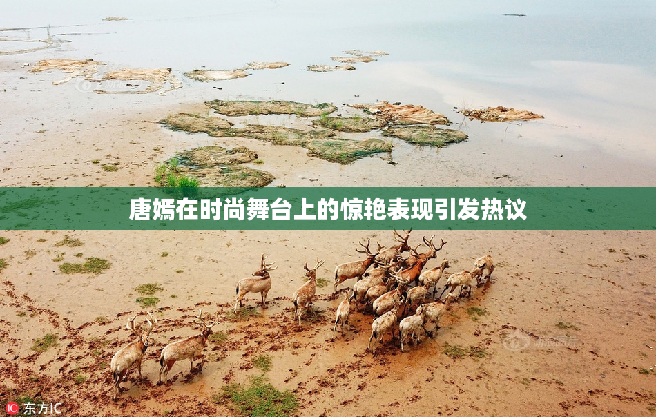 唐嫣在时尚舞台上的惊艳表现引发热议
