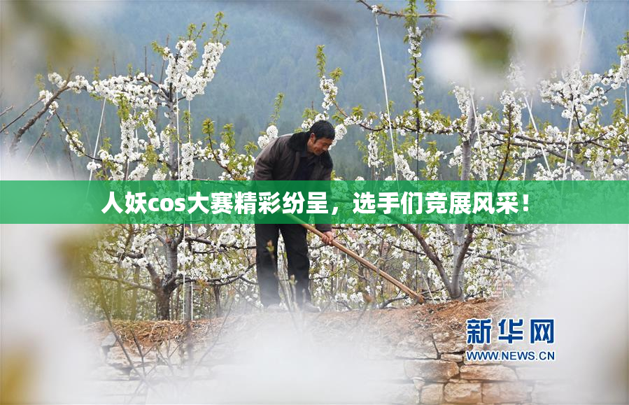 人妖cos大赛精彩纷呈，选手们竞展风采！