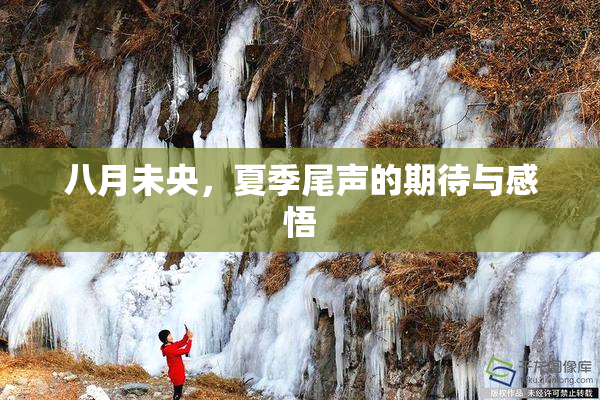 八月未央，夏季尾声的期待与感悟