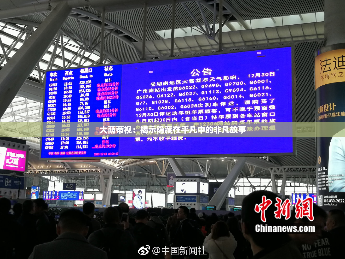 大荫蒂视：揭示隐藏在平凡中的非凡故事