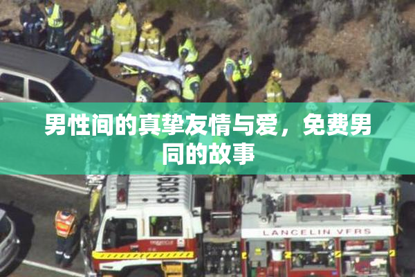 男性间的真挚友情与爱，免费男同的故事
