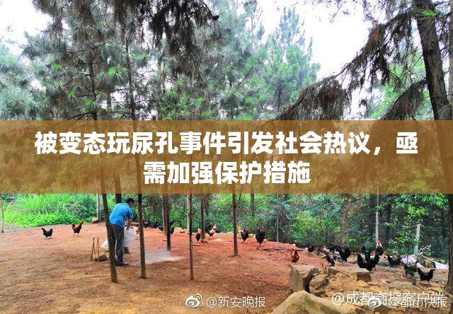 被变态玩尿孔事件引发社会热议，亟需加强保护措施