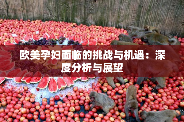 欧美孕妇面临的挑战与机遇：深度分析与展望
