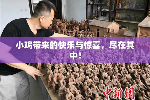 小鸡带来的快乐与惊喜，尽在其中！