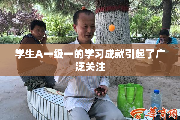 学生A一级一的学习成就引起了广泛关注