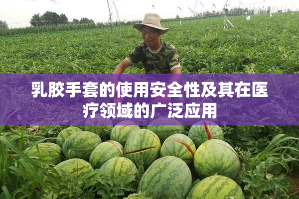 乳胶手套的使用安全性及其在医疗领域的广泛应用