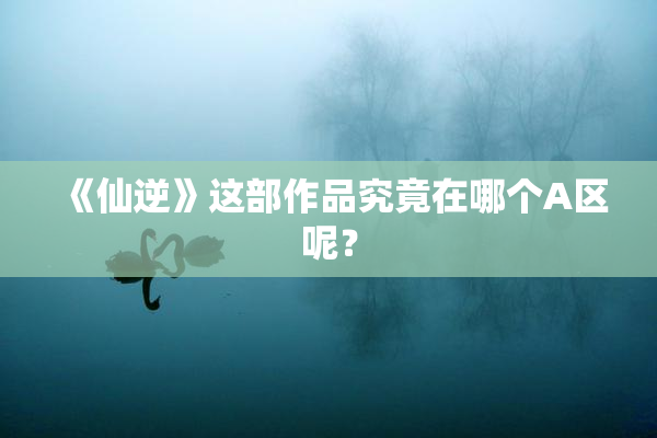 《仙逆》这部作品究竟在哪个A区呢？