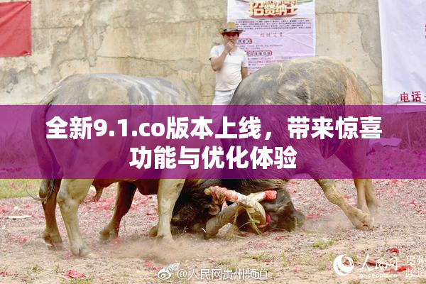全新9.1.co版本上线，带来惊喜功能与优化体验